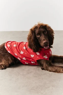 Dog Reindeer Print Pyjama