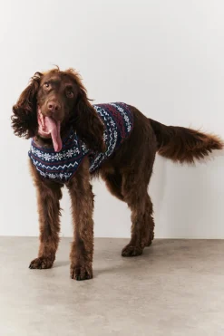 Dog Snowflake Print Pyjama