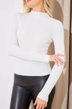 High Neck Variegated Rib Knit Top