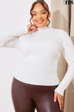 High Neck Variegated Rib Knit Top
