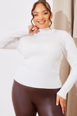 High Neck Variegated Rib Knit Top