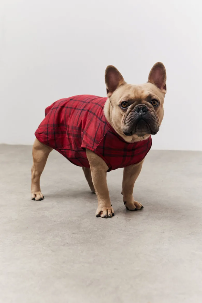 Red Checked Matching Dog Coat